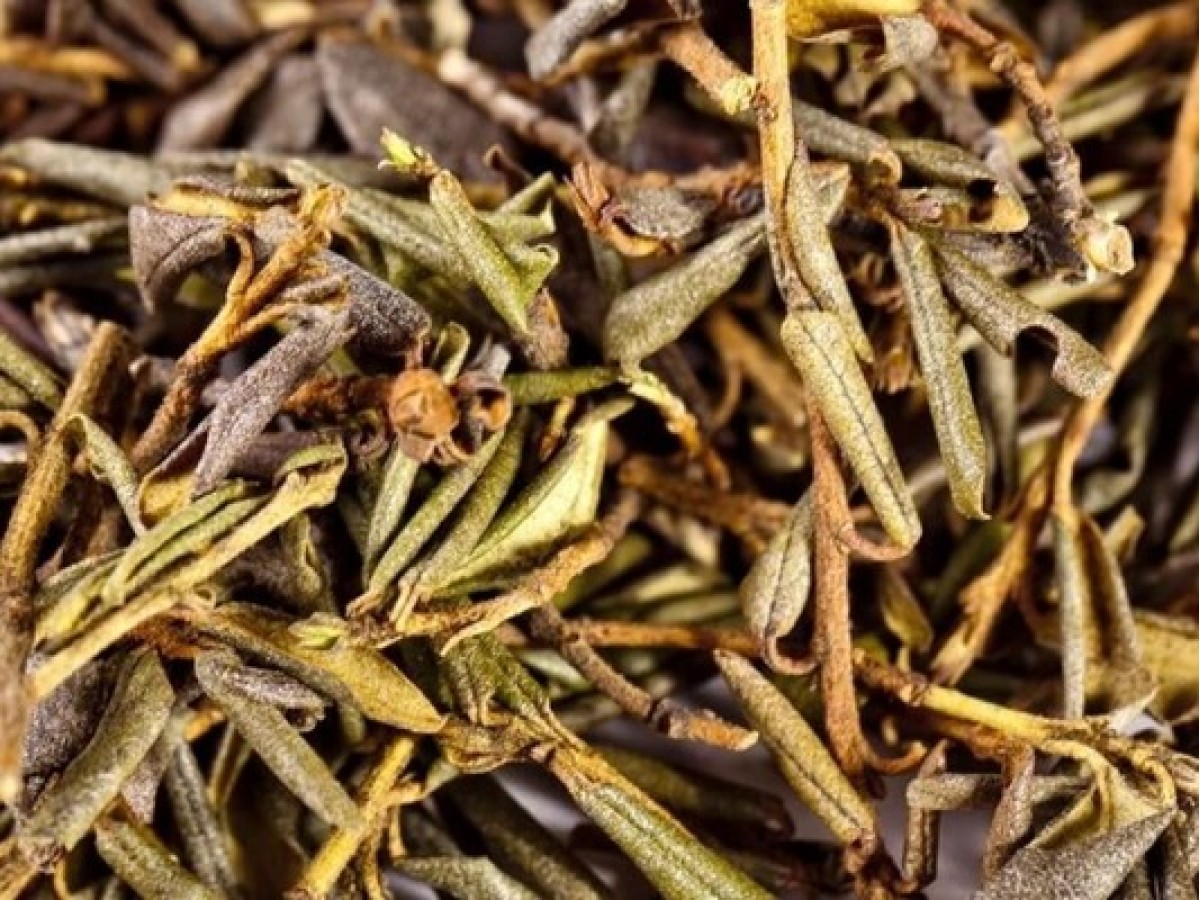 Чай Саган Дайля